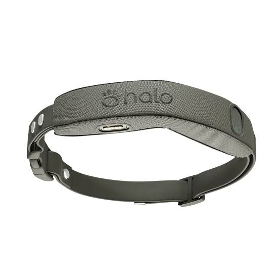 Halo Collar 5 GPS Wireless Dog Fence